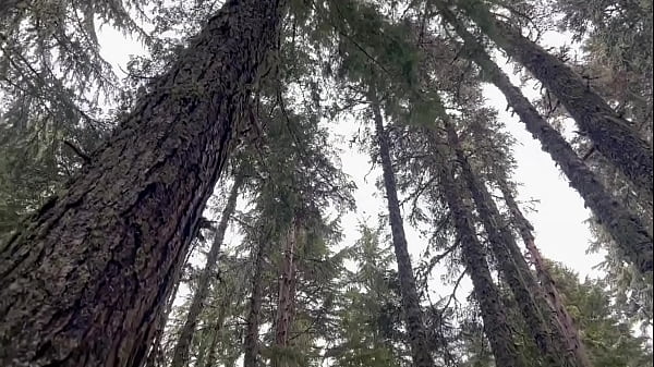 La chasse au lapin des neiges du mont Hoodrat