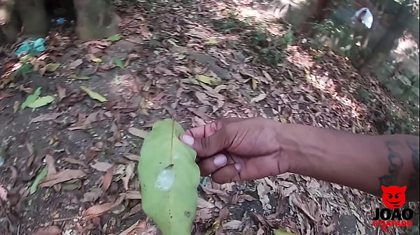 Ho mangiato velocemente Novinha no Mato finché non mi è piaciuto