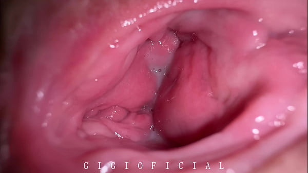 我所有的怀孕（暨在阴户里）都像这样成功地被录像了