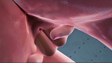 Code Valkyrie II, fingering and fucking in bedroom and bath