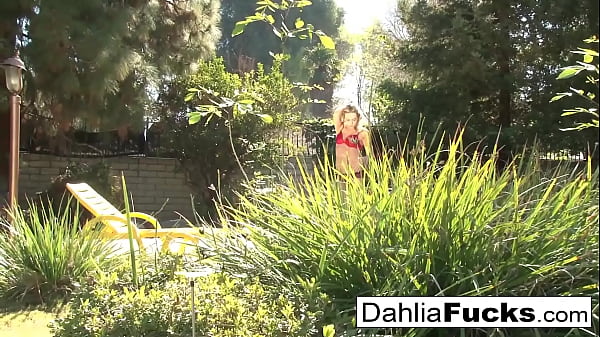 Heiße Spielzeugspielzeit mit Dahlia Sky