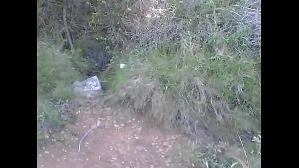 Gehen Sie einen Schritt weiter